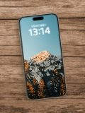 Wood 1